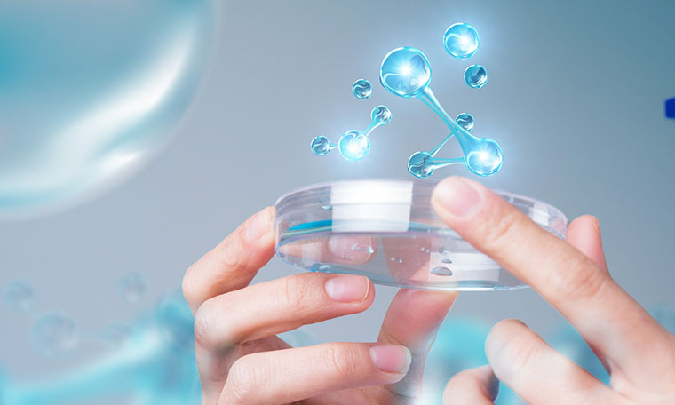 开云online(中国)精准医学中心