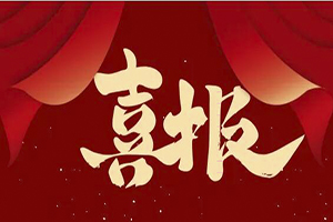 诚载使命 信铸辉煌│开云online(中国)荣获泰州2023年度“守合同重信用”企业！