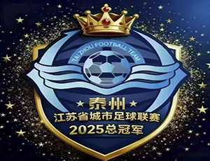 开云online(中国)集团贺泰州苏超夺冠：以“三个不相信”精神，强健产业供应链